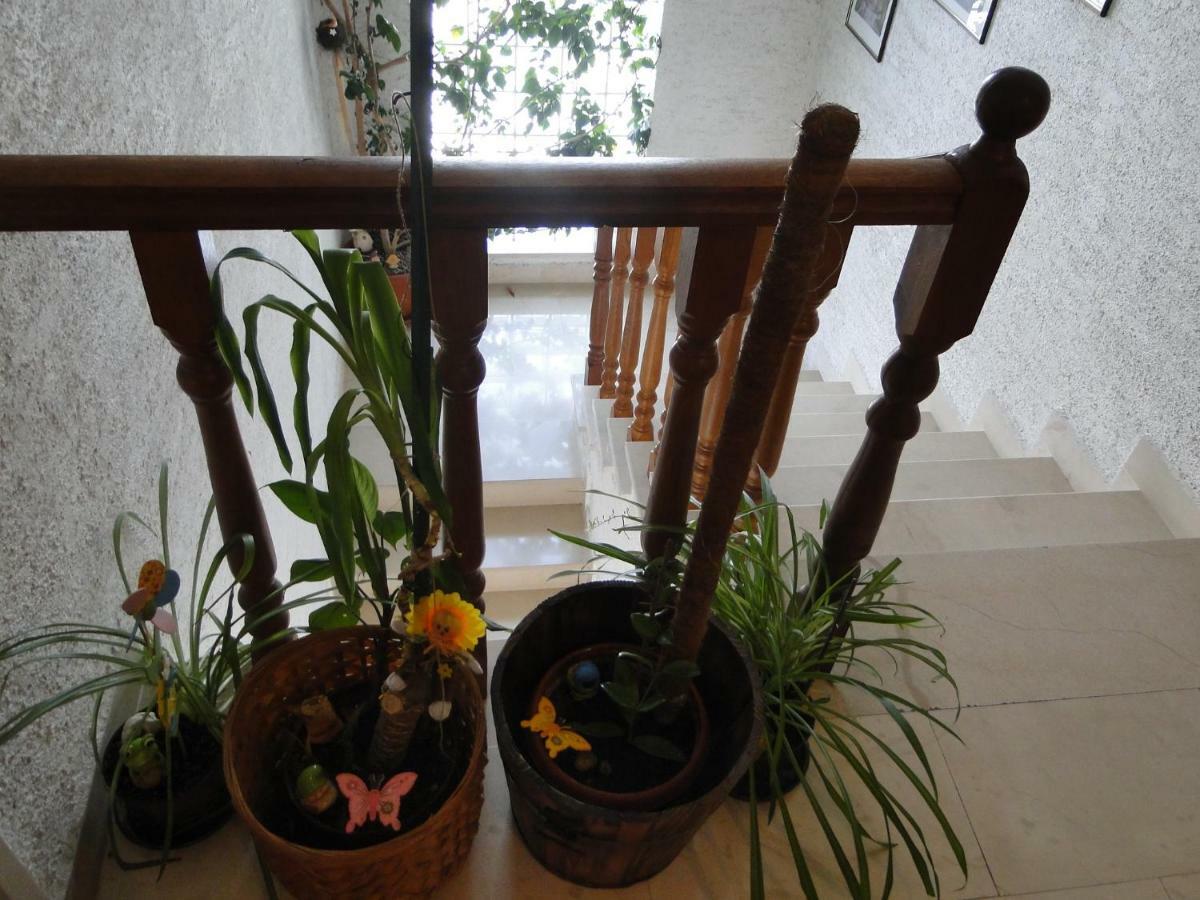 Radojka Hotel Primošten Buitenkant foto